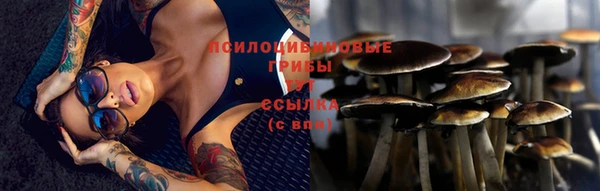 ALPHA PVP Пролетарск
